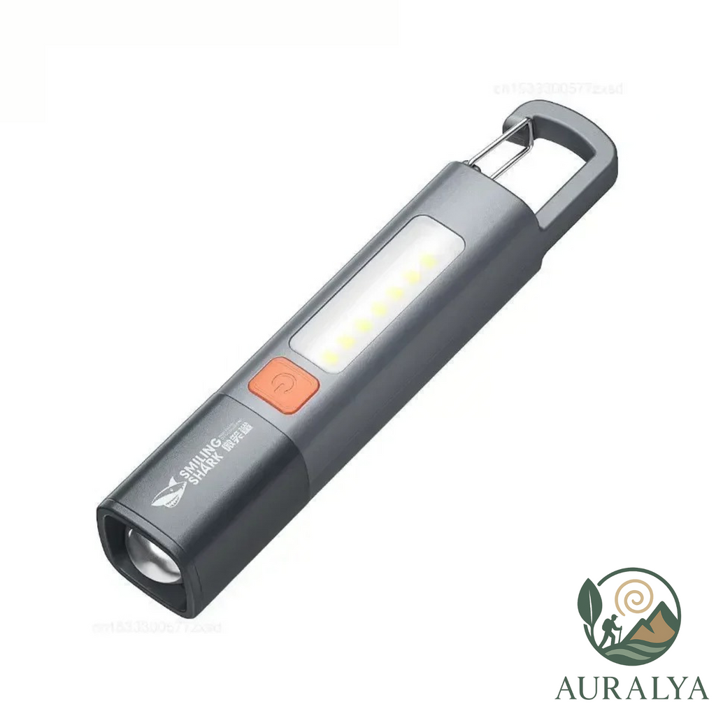 Lampe Torche de poche Rechargeable
